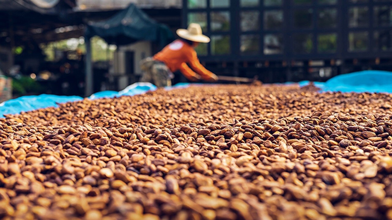 Assessing corporate human rights