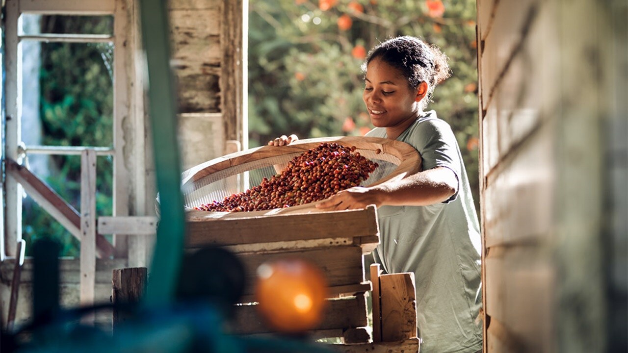 Female Worker Processing Coffee Beans