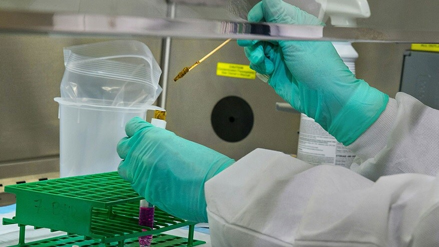 Close up shot of medical practitioner filling a syringe. 