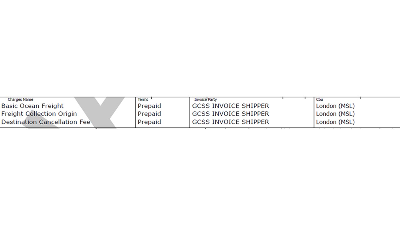 Payer information on the verify copy
