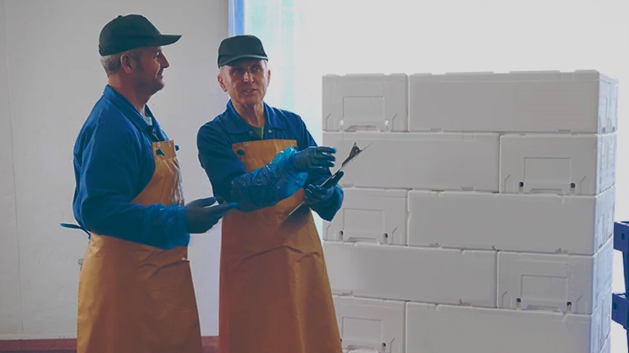 Two people in a fish storage facility