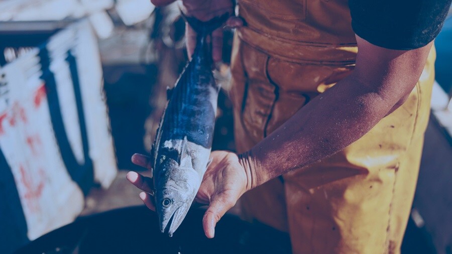 Man holding a fish