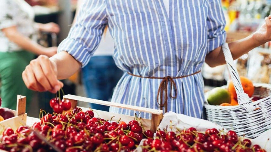 A lady picking cherries