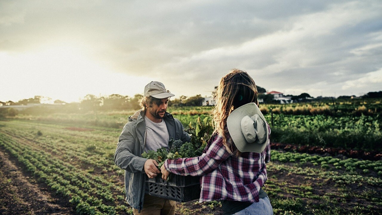 Men and women farming