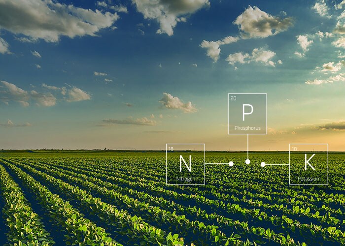 Produits agrochimiques – Champ de culture bio et taux d’engrais NPK.