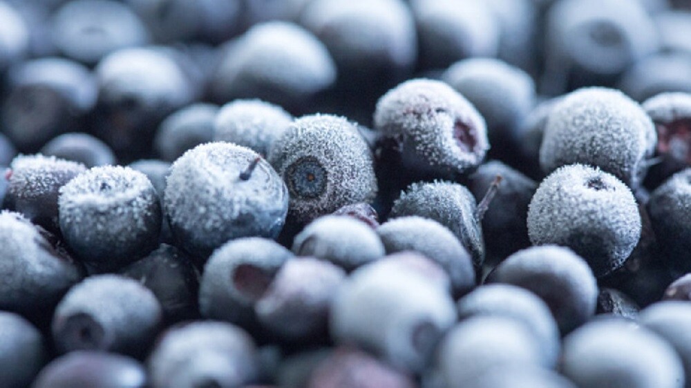 traitement par le froid