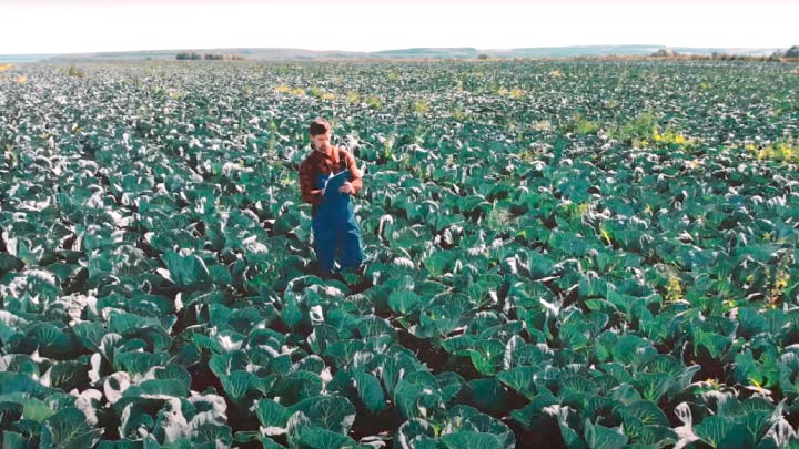 farmers at field